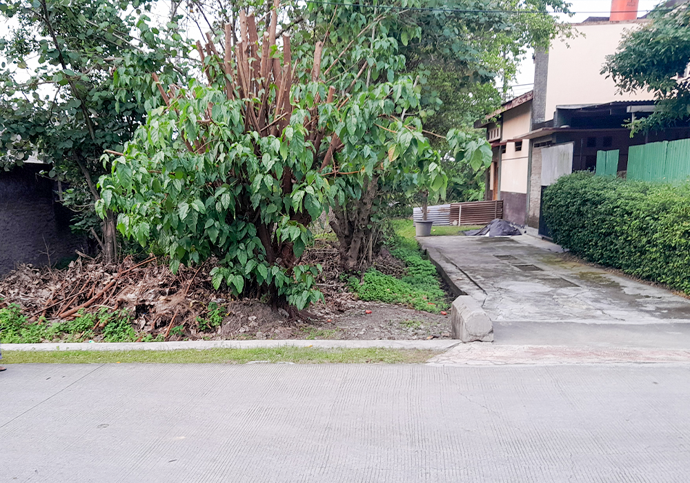 TANAH DI KAB. KARANGANYAR - WOFF334-2 - foto 5